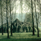 Illustration for article titled Plant Your Own House: Structures Made From Trees